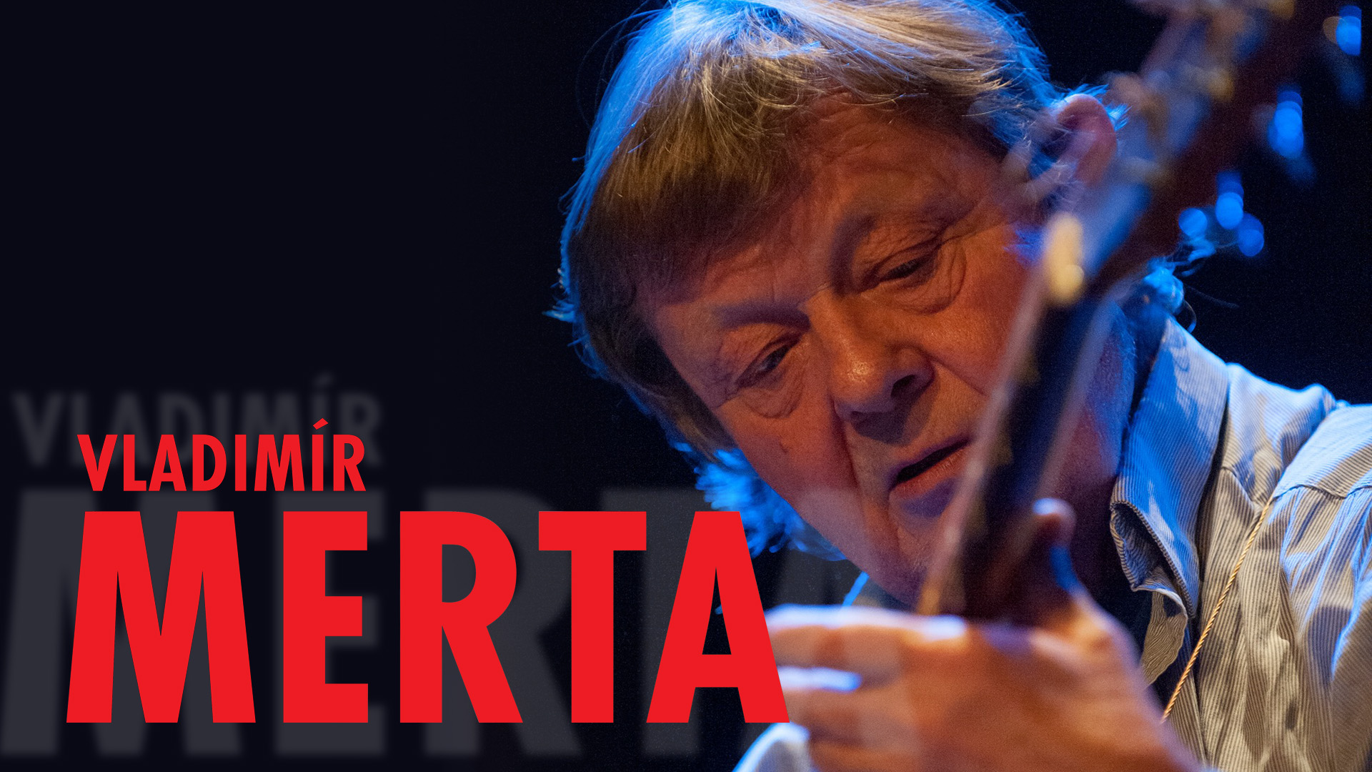 VLADIMÍR MERTA - KONCERT